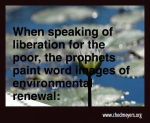 prophecies and environment